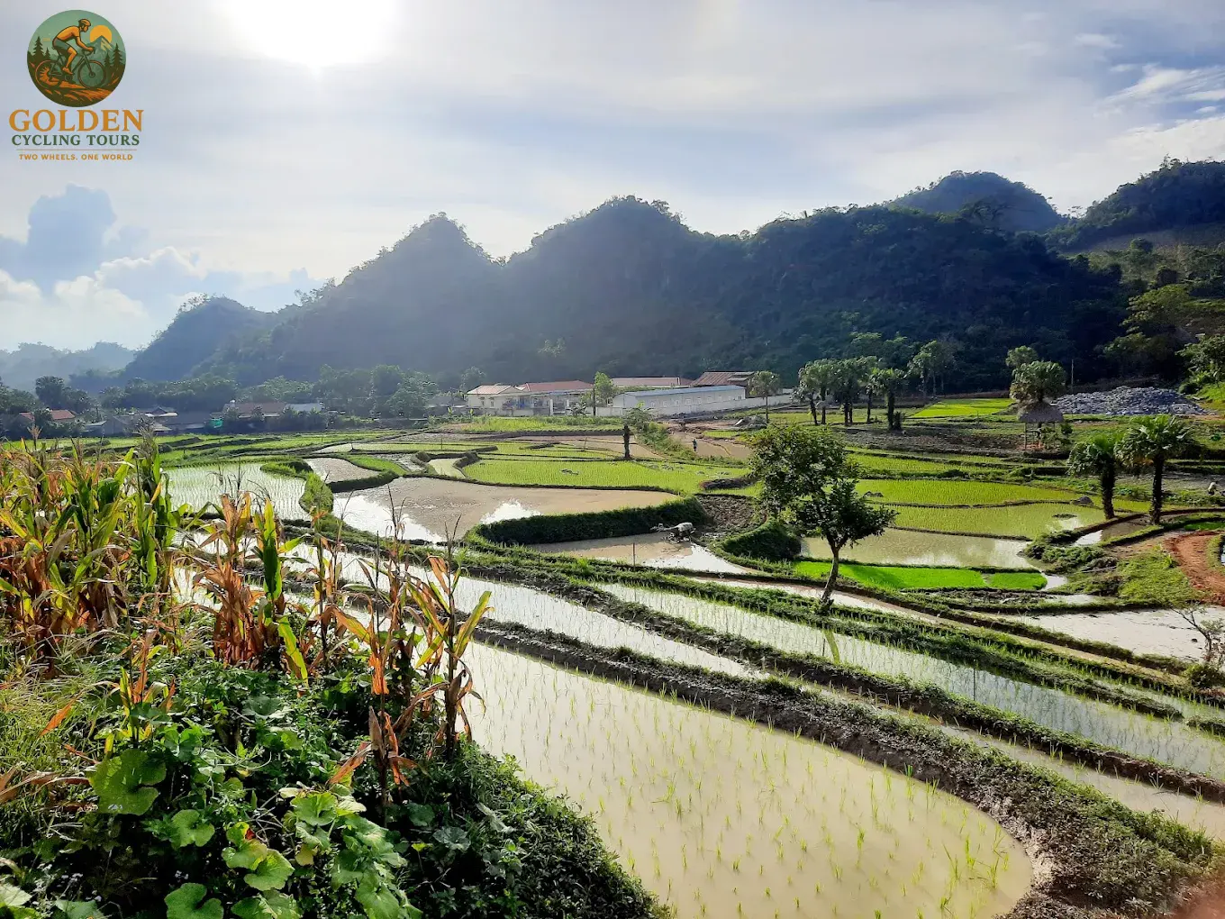 3-Day Thai Nguyen Backroad Cycling Tour: Ban Ten, Tea Hills & Nui Coc